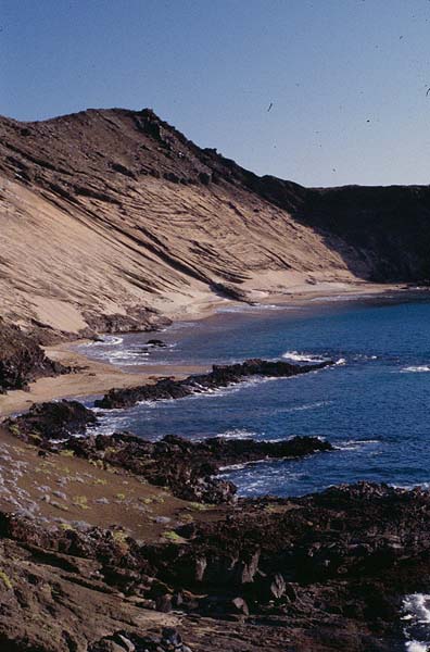 GalapagosLand_32